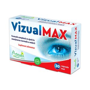 VizualMax